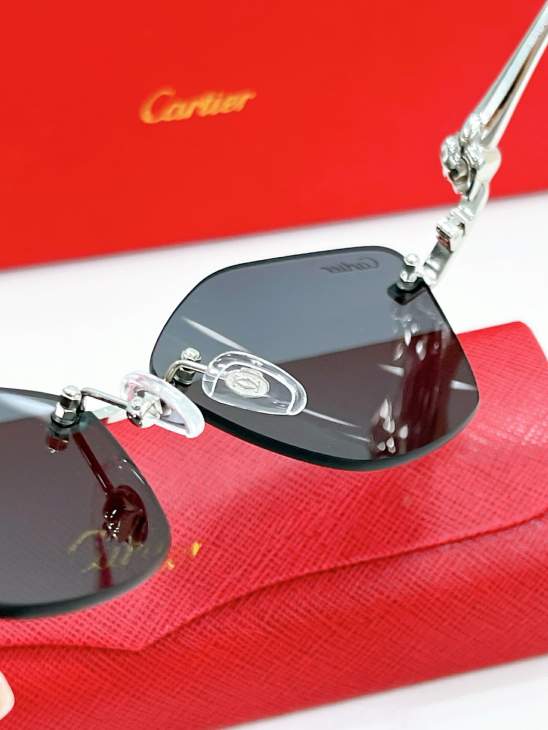 Picture of Cartier Sunglasses _SKUfw79568539fw